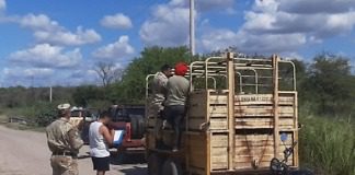 La Paz: Recuperaron animales sustraídos