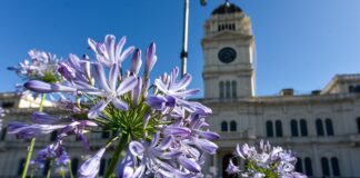 El gobierno pagará el jueves por complementaria el Fondo Provincial de Incentivo Docente