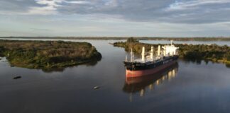 Puerto Local: La industria forestal suma productos para exportar