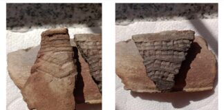 Hallan material arqueológico en una planta de extracción de arena en Ibicuy