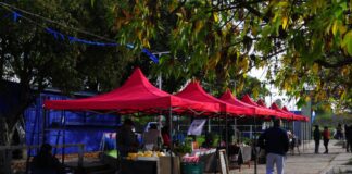 Feria de emprendedores