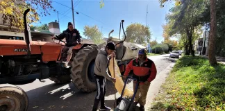 El municipio de Colón intensifica el mantenimiento urbano durante el otoño
