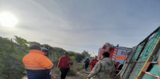 Rescataron un caballo en mal estado que cayó en un desagüe