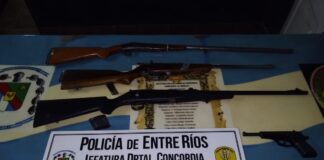 Secuestro de armas en contexto de violencia de género