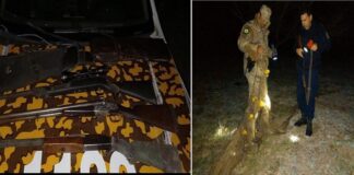 Intenso trabajo de la Brigada de Delitos Rurales