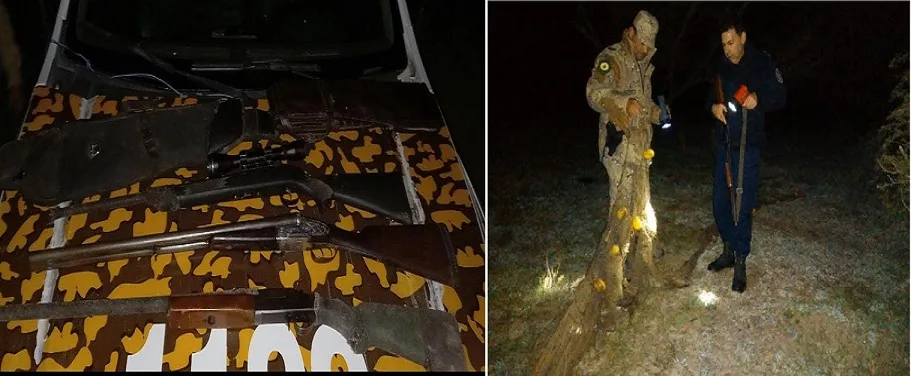 Intenso trabajo de la Brigada de Delitos Rurales