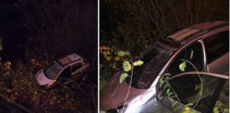 Un tronco caído de un camión provocó un siniestro vial en Ruta 39