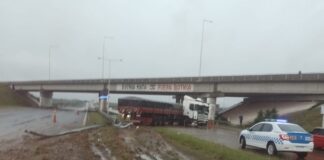 Un camionero, quiso evitar un choque, freno bruscamente y despistó en la Autovía