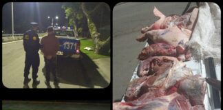 Detenido por delito de Abigeato