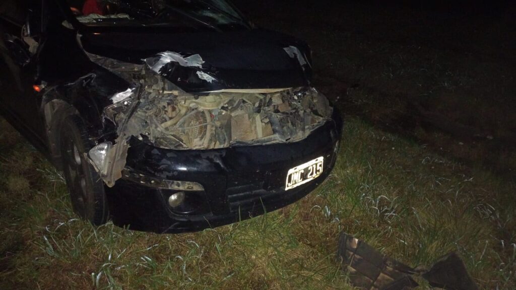 Un automovilista se chocó dos animales sueltos en la Autovía