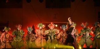 Ya se palpita el Segundo Encuentro Entrerriano de Murgas