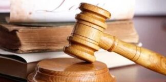 La Jueza de Paz de Paraná admite amparo ambiental colectivo contra la empresa Salentein Argentina B-V por desmonte ilegal en el monte nativo