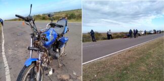 Isla del Ibicuy: Un motociclista se chocó un caballo, el equino murió