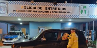 Denunciaron que le robaron un Perro Ovejero Alemán y en un control policial fue encontrado