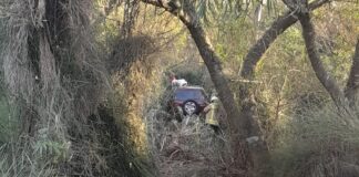 Una camioneta despistó en la Autovía Artigas (Mira las Imágenes)