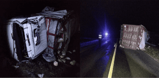 Un camión pollero volcó en ruta 12