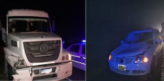 Dos siniestros viales, que involucraron animales sueltos