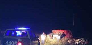 Un camión cargado de abejas volcó en la autovía 18