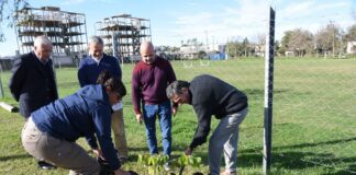 CARU entregó 500 árboles nativos a 20 instituciones de Concepción del Uruguay