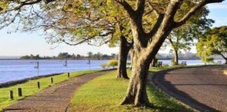 Un hombre salió a caminar en la Costanera de federación, se descompenso y falleció