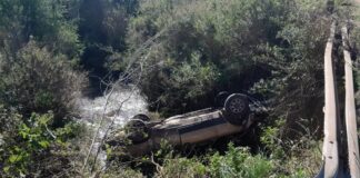 Un auto despistó y cayó de un puente
