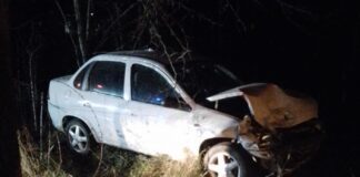 Un auto despistó en Colonia Elia