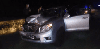 Autovía Artigas: Una camioneta chocó un animal suelto