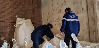 CdelU: La Aduana frenó una exportación trucha de 30 toneladas de maíz partido