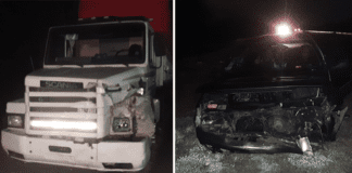 RN12: Camión chocó una vaca y luego contra un vehículo