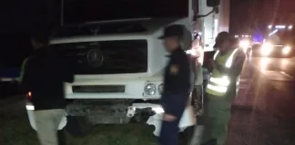 Continúan los accidentes con animales sueltos en la Autovía