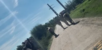 Brigadistas Uruguay secuestraron 3 caballos sueltos en la Autovía