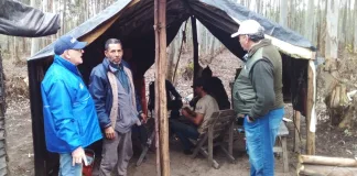 Realizaron Inspección Forestales en Concordia