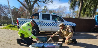 Pretendían ingresar a Entre Ríos a cazar aves con Reina Moras llamadores y Pega pega