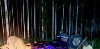 Una camioneta volcó y su conductor debió ser rescatado por bomberos