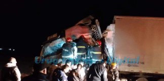 Dos camiones chocaron en ruta 14 a escasos metros de ruta 20, un chofer fue hospitalizado