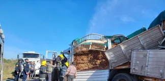 Dos camiones chocaron en Ruta 6