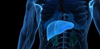 Campaña de prevención de las Hepatitis Virales