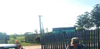 Allanamientos de brigadistas por el robo de ganado