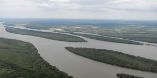 Realizarán una consulta pública para presentar el Plan de Manejo del futuro parque natural del río Uruguay
