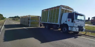 El acoplado de un camión pollero volcó en la Autovía Artigas
