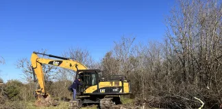 Comenzó el trabajo de erradicación de Acacias negras en el campo El Sauce de la Fraternidad