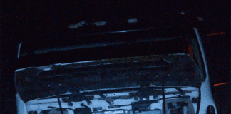 Un camión chocó un animal Ruta Nacional 12