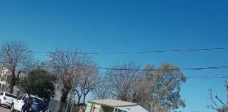 Secuestraron pescado en un control policial