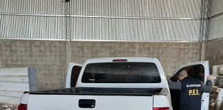 Personal policial recupero en pocas horas camioneta robada en Colón