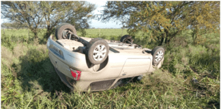 Conductora trato de esquivar un perro y volcó