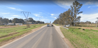 Buscan una camioneta que atropelló a una persona en ruta 39 y se dio a la fuga