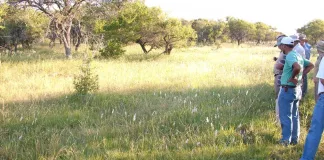 La provincia incentiva la conservación de bosques nativos y regeneración de áreas degradadas
