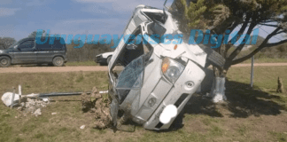 San José: Un vehículo de carga volcó, hay dos lesionados