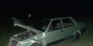 Un conductor chocó un ciervo y despistó en ruta 12