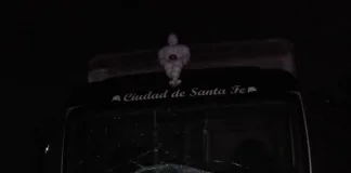 Un camión se chocó un caballo que se cruzó en Ruta Nacional 12